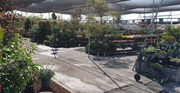 Image for Payless Hardware, Rockery & Nursery with ID of: 3856698