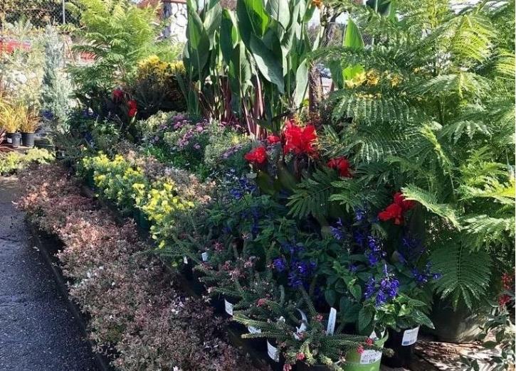 Image for Payless Hardware, Rockery & Nursery with ID of: 3856700