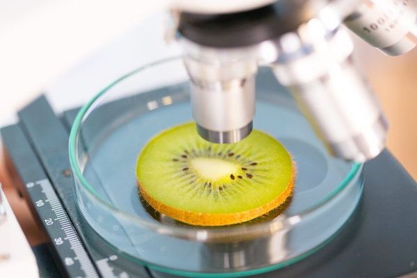 Image for Global Food Contaminant Testing Market 2019 | Manufacturers, Regions, Type And Application, Forecast To 2024 with ID of: 3857630