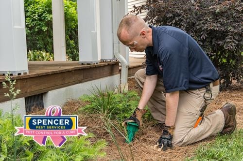 Image for Spencer Pest Services with ID of: 3861310