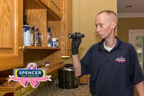 Image for Spencer Pest Services with ID of: 3861311