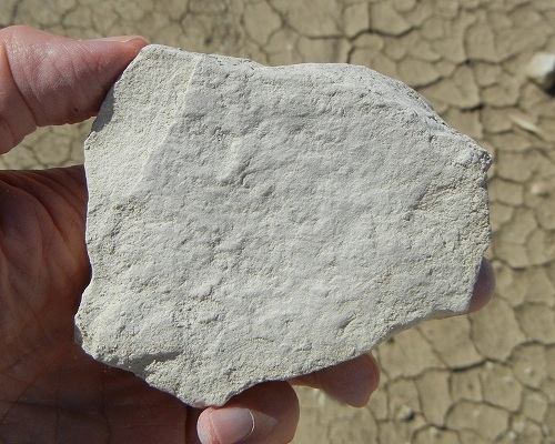 Image for Global Diatomite Market Manufacturers Sales Analysis Report 2019-2024 with ID of: 3863644