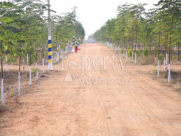 Image for HMDA Approved Plots for sale near to ORR at close proximity to IT corridors in Hyderabad with ID of: 3864681