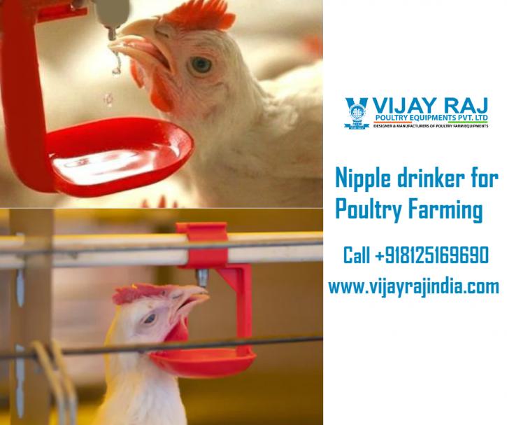 Image for Nipple Drinking System for Poultry Farming with ID of: 3864784