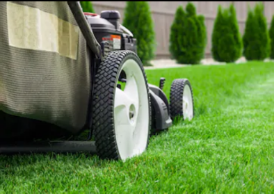 Image for The Lawn Ranger with ID of: 3867253