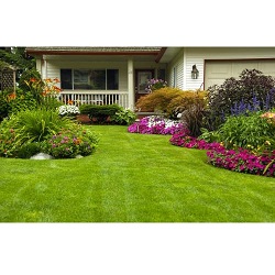 Image for Elite Landscaping Madison with ID of: 3870036