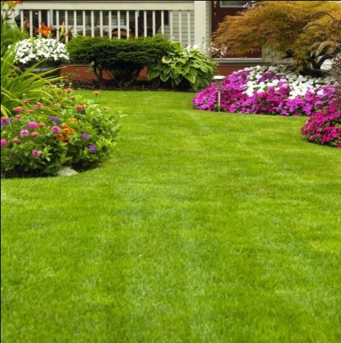 Image for Elite Landscaping Madison with ID of: 3870046