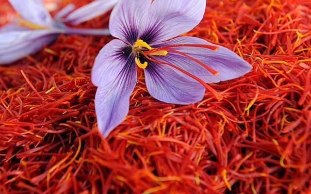 Image for Saffron Market Size Worth $2.0 Billion By 2025 with ID of: 3870925