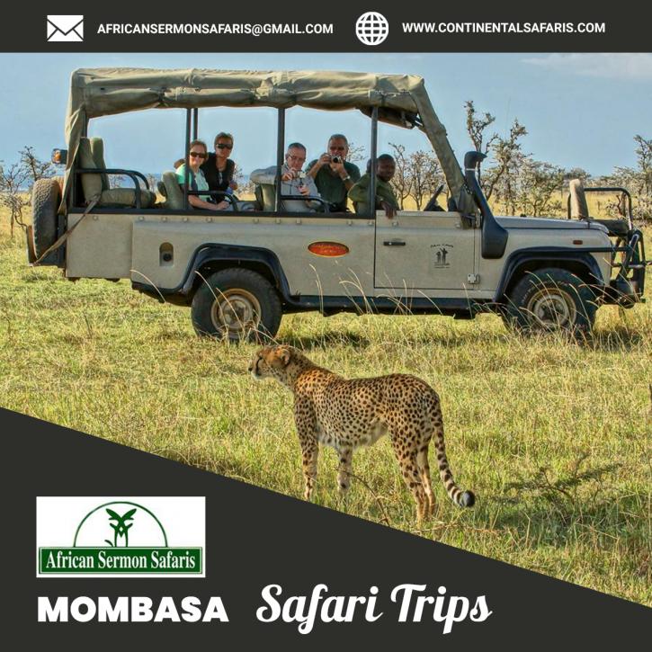 Image for Mombasa Safari Trip with ID of: 3871162