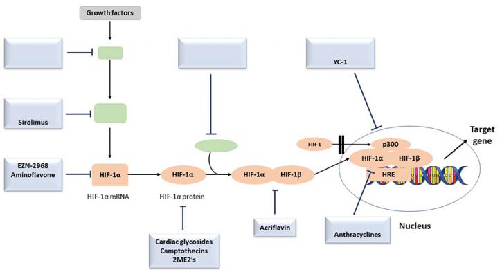 Image for Bioparticle Component Analysis with ID of: 3875681