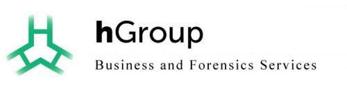 Image for hGroup LLC with ID of: 3878662