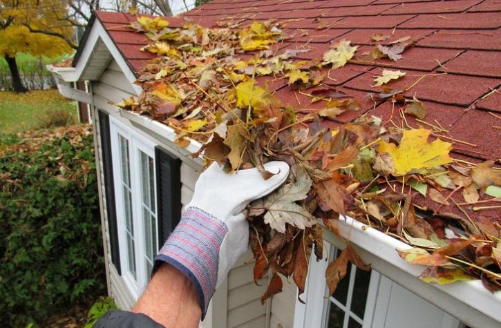 Image for Paul Bange Roofing, Inc. with ID of: 3880793