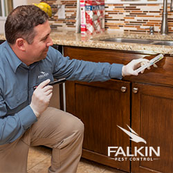 Image for Falkin Pest Control with ID of: 3881901