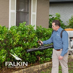 Image for Falkin Pest Control with ID of: 3881903