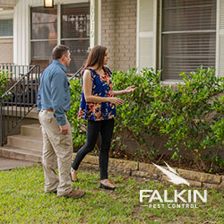 Image for Falkin Pest Control with ID of: 3881906
