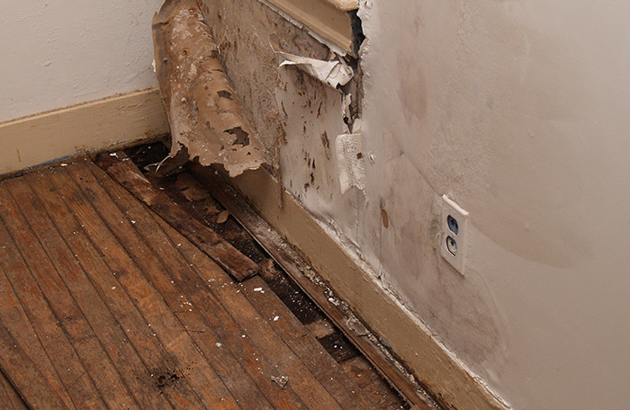 Image for Indoor Green Solutions with ID of: 3884701