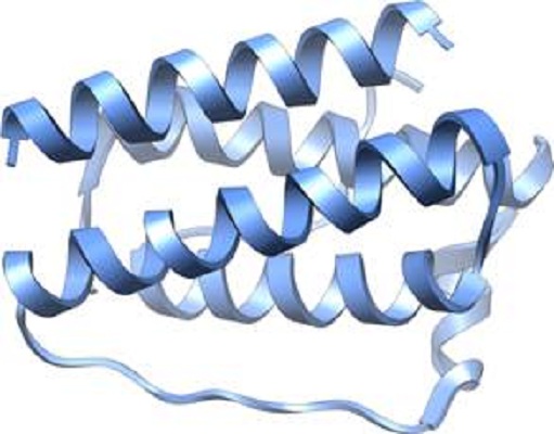 Image for Adipokine with ID of: 3885523