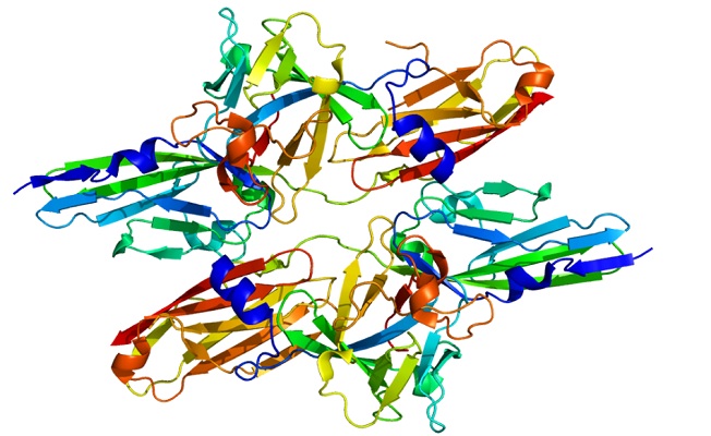 Image for FGF Family with ID of: 3885527