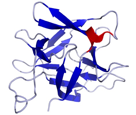 Image for IL-1 Family with ID of: 3885535