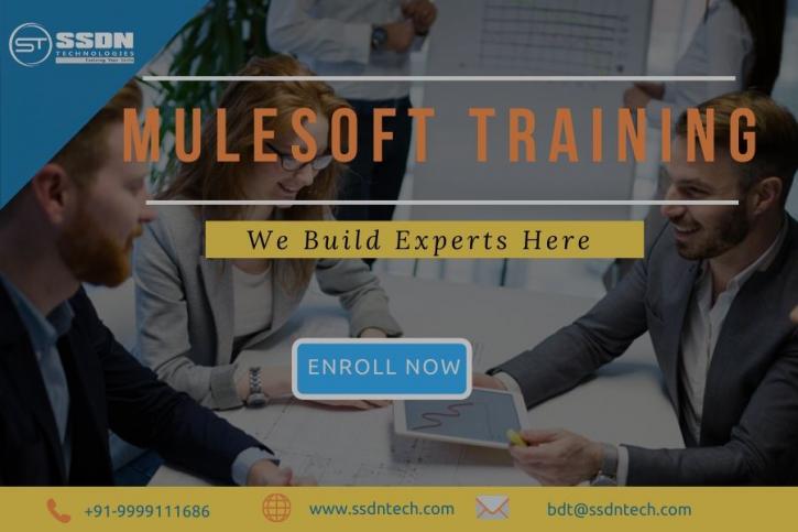 Image for MuleSoft Training in Bangalore with ID of: 3886994