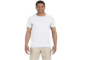 Image for Choosing Cheap Blank T Shirts for Screen Printing with ID of: 3889600