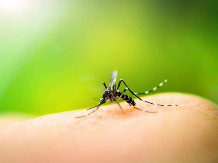 Image for 3 insect repellent products that save people from the havoc of insects with ID of: 3890529