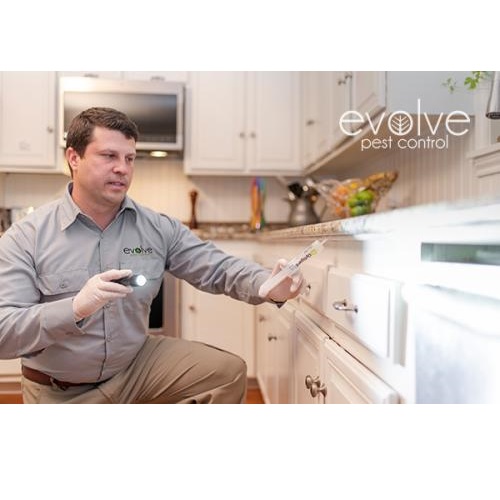 Image for Evolve Pest Control with ID of: 3892015