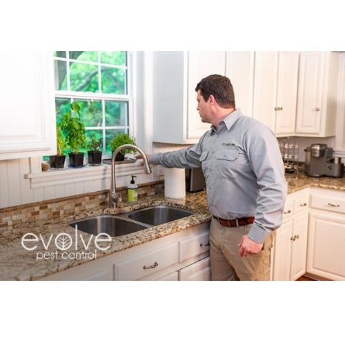 Image for Evolve Pest Control with ID of: 3892344