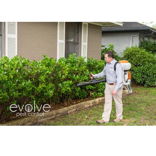 Image for Evolve Pest Control with ID of: 3892347