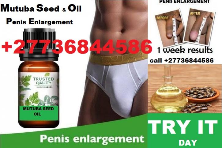 Image for Penis Enlargement Herbal Oil +27736844586 with ID of: 3892660