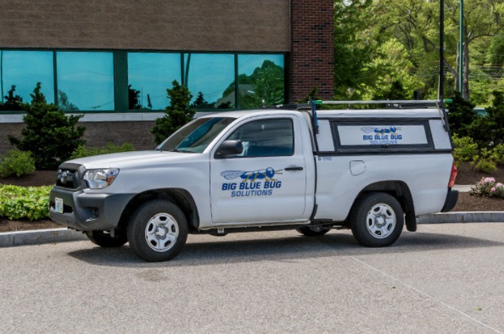Image for Big Blue Bug Solutions with ID of: 3894273