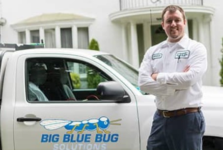Image for Big Blue Bug Solutions with ID of: 3894279
