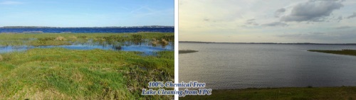 Image for Florida Pond Cleaning with ID of: 3895177
