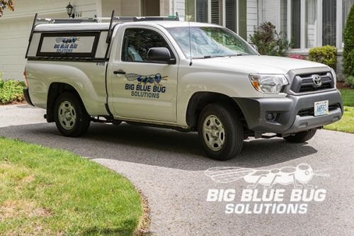 Image for Big Blue Bug Solutions with ID of: 3895194