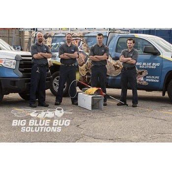 Image for Big Blue Bug Solutions with ID of: 3895466