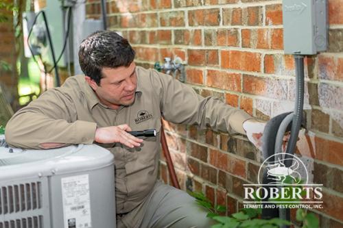 Image for Roberts Termite & Pest Control with ID of: 3896601