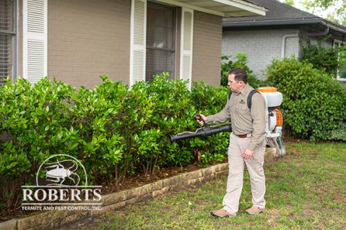 Image for Roberts Termite & Pest Control with ID of: 3896603
