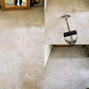Image for After Hours Cleaning & Porter Service with ID of: 3902161