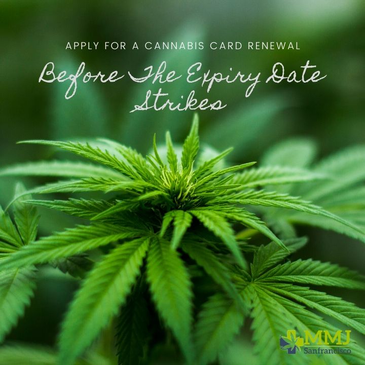 Image for Apply for A Cannabis Card Renewal Before The Expiry Date Strikes with ID of: 3905282