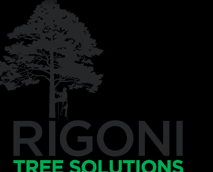 Image for Rigoni Tree Solutions with ID of: 3905787
