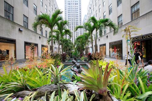 Image for Rockefeller Center with ID of: 3908467