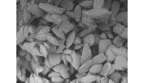 Image for Global Potassium Polyaspartate Analysis Report 2019-2024 with ID of: 3910556