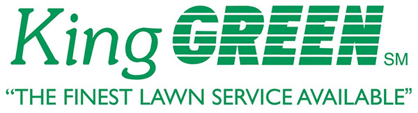 Image for King GREEN with ID of: 3912957