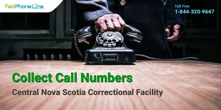 Image for FedPhoneLine - Ontario Correctional Institute with ID of: 3914144