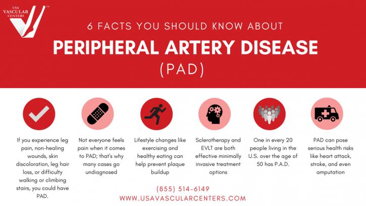 Image for USA Vascular Centers with ID of: 3914576