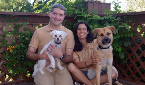 Image for Canine Companion Consulting with ID of: 3915208