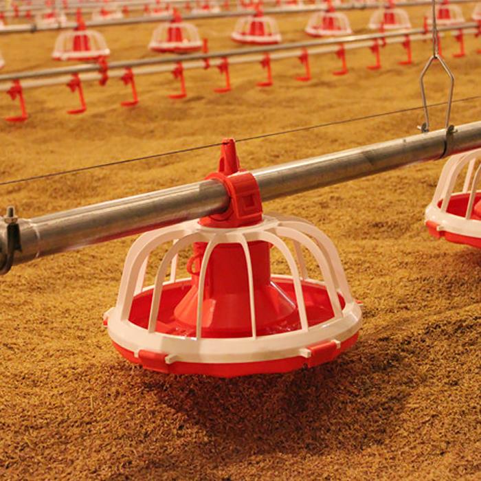 Image for Poultry Automatic Feeding System Manufacturers with ID of: 3919493
