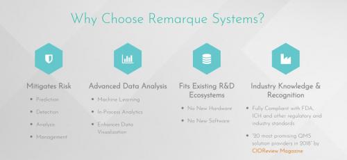 Image for Remarque Systems with ID of: 3921519