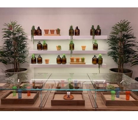Image for The Botanist with ID of: 3929179
