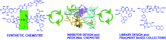 Image for Fluorescent Monodispersed Linear PEGs with ID of: 3931901